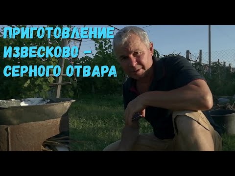 Видео: Приготовление известково-серного отвара