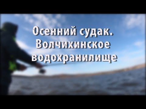 Видео: Осенний судак. Волчихинское водохранилище. 16-17.10.2021