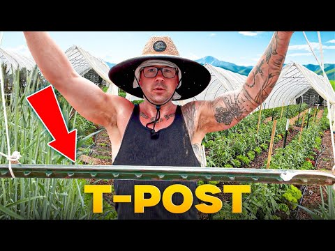 Видео: УНИЧТОЖЬТЕ ПОКРОВНЫЕ КУЛЬТУРЫ ОЗИМОЙ РЖИ С ПОМОЩЬЮ ЭТОГО ХАЛАКА!