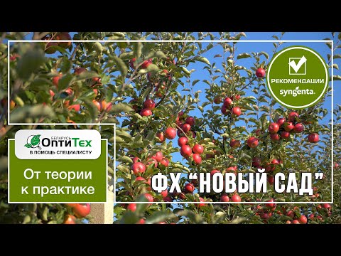 Видео: Лучшие сады Беларуси. ФХ Новый Сад Середича Михаила. Большой обзор/подбор сортов/нюансы выращивания.