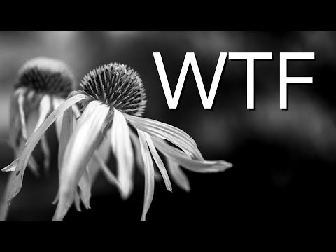 Видео: Инфракрасная фотография природы: О ЧЕМ я думал?!