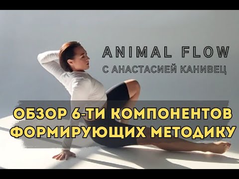 Видео: Что такое Animal Flow. Обзор 6-ти компонентов