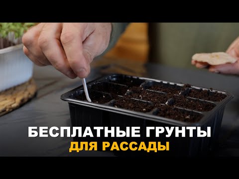 Видео: БЕСПЛАТНЫЕ ГРУНТЫ ДЛЯ РАССАДЫ ГОТОВИМ САМИ. Способы заготовки качественного грунта для рассады.