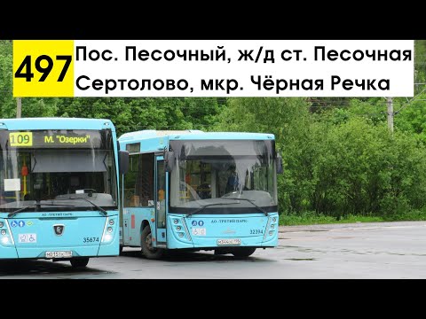 Видео: Автобус 497 "Пос. Песочный, ж/д ст. "Песочная" - Сертолово, мкр. Чёрная Речка" (старая трасса)