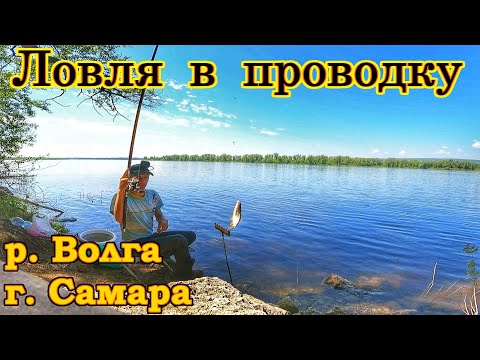 Видео: ЛОВЛЯ В ПРОВОДКУ/РЫБАЛКА НА ВОЛГЕ/ЛОВЛЯ ПЛОТВЫ И УКЛЕЙКИ НА ПОПЛАВОЧНУЮ УДОЧКУ/РЫБАЛКА В САМАРЕ/2024