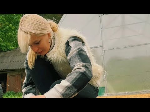 Видео: Жизнь это путь в моменте ,а не погоня к пункту назначения 