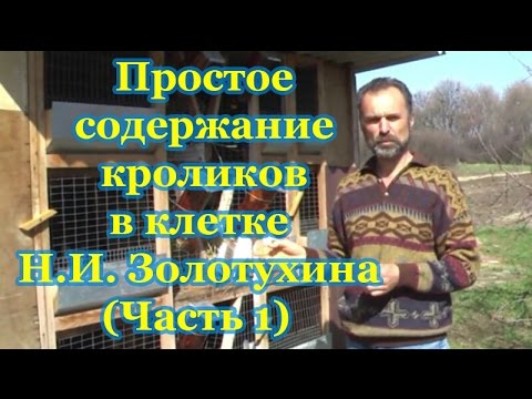 Видео: Простое содержание кроликов в клетке Н.И.  Золотухина (Часть 1 из 3)