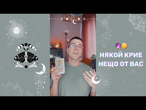 Видео: 🔮 Някой крие нещо от Вас 🤫 | Таро четене - AbundantKiko 🦋