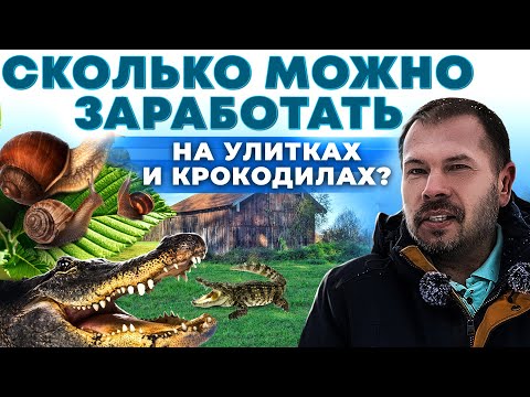 Видео: Идеи для Бизнеса в деревне | Как заработать Деньги на улитках и крокодилах | Андрей Даниленко