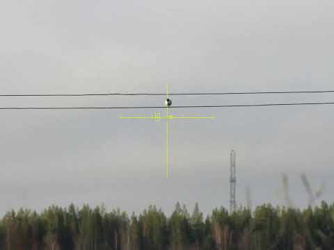 Видео: Crow hunting, Кроухантинг 2024 весенняя охота на ворон