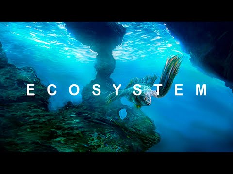 Видео: СОЗДАЕМ ЧУДИЩ! - ECOSYSTEM ПРОХОЖДЕНИЕ