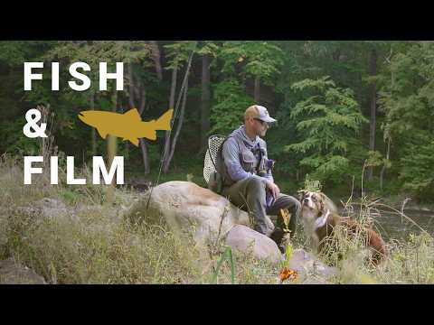 Видео: Рыба и кино — Перекрестные сдвиги (стримеры, нимфы и дикая форель)