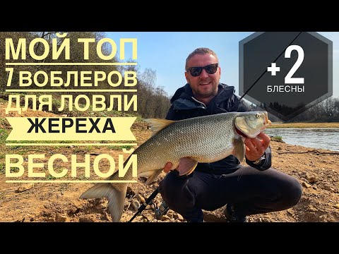 Видео: МОЙ ТОП 7 ВОБЛЕРОВ ДЛЯ ЛОВЛИ ЖЕРЕХА ВЕСНОЙ