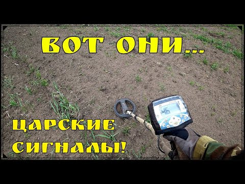 Видео: От таких сигналов АЖ Дыханье перебивает! Коп С X-Terra 705.