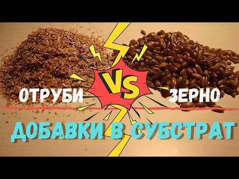 Видео: Добавки для грибных блоков - сколько сыпать в субстрат ?