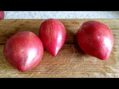 Видео: Сорта томатов ч3: Дедушкино сердце Делмар Егип рекаНил Египетская ладья Итал жеребец желт Кальяни