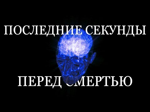 Видео: Что происходит в мозге, когда ты умираешь
