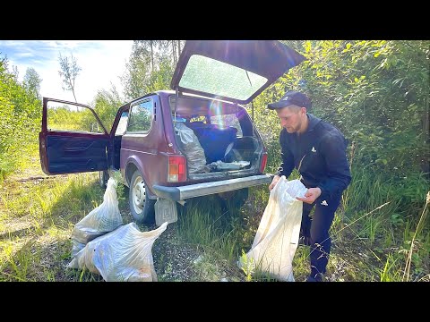 Видео: За Чагой в лес на Ниве! Нашли более 200 кг чаги в Дикой тайге!