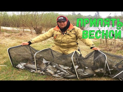 Видео: Припять.Ловля весной по низкой воде.