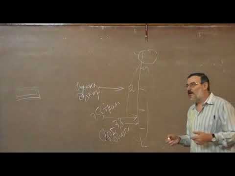 Видео: 31 Ранние этапы существования биосферы Земли, часть 2