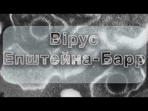 Видео: Інфекційний мононуклеоз / Вірус Епштейна-Барр (ВГЛ-4) | Саркома Капоші (ВГЛ-8)