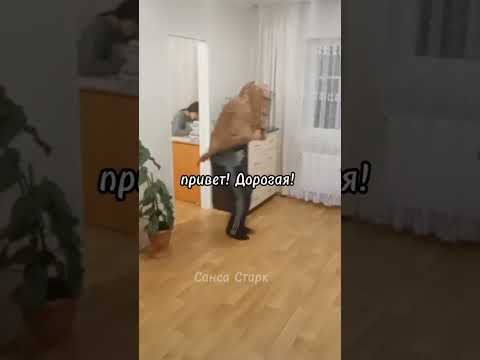 Видео: приключения в деревне Веселая жизнь. серии не по порядку. что пропускают.