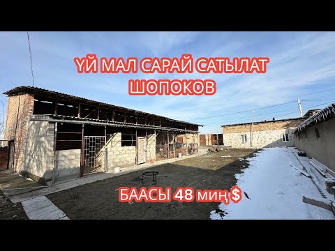 Видео: УЙ МАЛ САРАЙ САТЫЛАТ ШОПОКОВ 2024