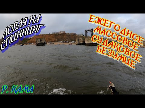 Видео: ✌Ловля СУДАКА на ДЖИГ в конце октября.🤞