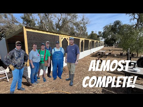 Видео: Строительство идеальных загонов для разведения кур | Часть 5