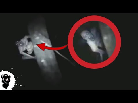 Видео: 5 НОЧНЫХ МОНСТРОВ СНЯТЫХ НА КАМЕРУ часть 2 [Черный кот]