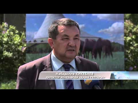 Видео: Костанайская область. Конезаводу 125 лет