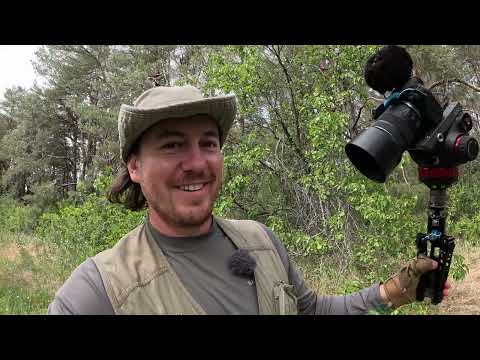 Видео: Дневник Натуралиста Василия Вишневского. Станция Чир  28-29  мая 2025 года.  Заключительная часть.