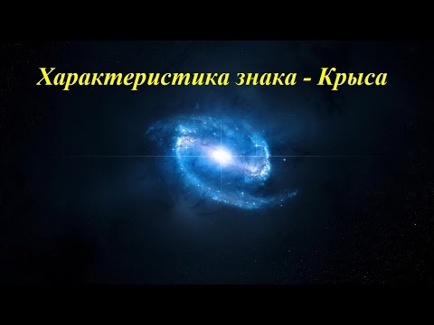 Видео: Характеристика знака - Крыса