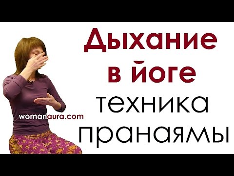 Видео: Пранаяма - техника выполнения йога дыхания для начинающих.  В этом видео: нади шодхана, уджайи и др.