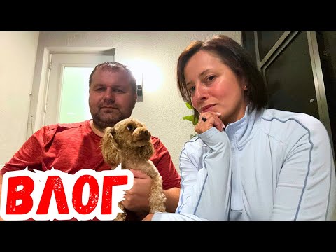Видео: США Просим о помощи | Сбор средств для наших ребят | Что случилось