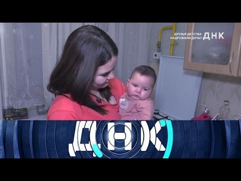 Видео: ДНК 2025 | Друзья детства надружили дочь - 1080 HD
