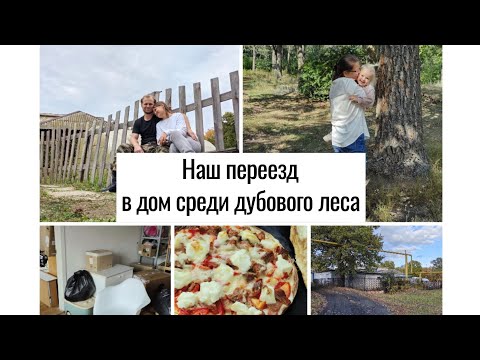 Видео: Переехали из города в село. Перевозим вещи.
