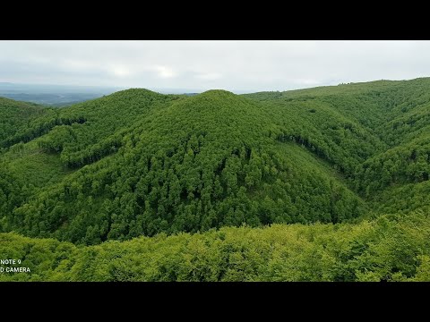 Видео: Однодневный поход в горы. (Антоловецкая поляна, гора Соколец.)