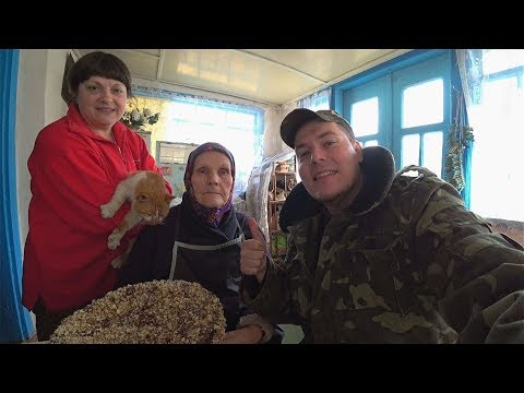 Видео: ПОМОГАЕМ БАБУШКЕ ПО ХОЗЯЙСТВУ / ПОХОД НА КЛАДБИЩЕ