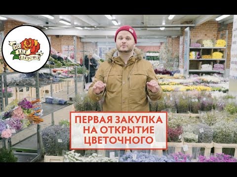 Видео: Первая закупка цветов на открытие цветочного магазина