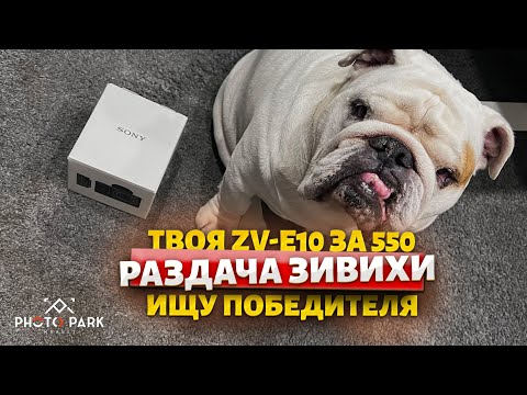 Видео: Разыгрываем Зивиху среди участников гива! #SonyZVE10ii