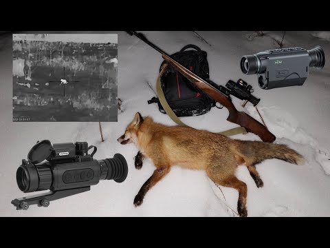 Видео: Есть трофей! Охота с Sytong AM03 35 LRF.