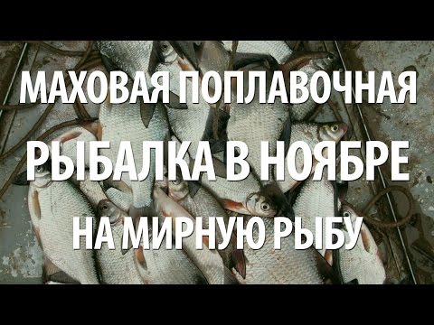 Видео: РЫБАЛКА ПОЗДНЕЙ ОСЕНЬЮ на ПОПЛАВОЧНУЮ МАХОВУЮ УДОЧКУ