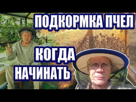 Видео: Как правильно закормить пчел на зиму? Секрет хорошей зимовки пчел!