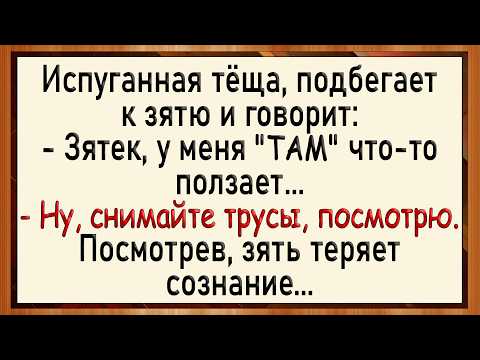 Видео: Зять ОФИГЕЛ от увиденного у тещи! Сборник свежих анекдотов! Юмор!