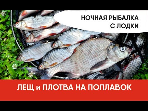 Видео: Ночная рыбалка с лодки. Лещ и плотва на поплавок! Рыбалка 2020.