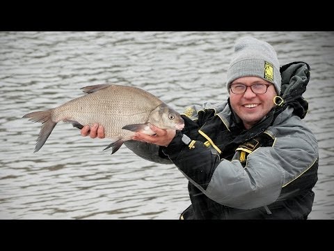 Видео: Прикормка Dunaev Fadeev series