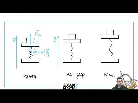 Видео: Пружину, соединенную с двух сторон пластинами массой m, поставили на горизонтальную - №31299