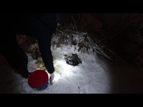 Видео: СТОЛЬКО РАКОВ-НИКТО НЕ ЛОВИЛ. РАКОЛОВКИ ПРОСТОЯЛИ МЕСЯЦ. СМОТРИМ.