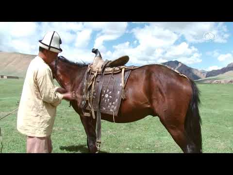 Видео: Жайлоодогу жашоо